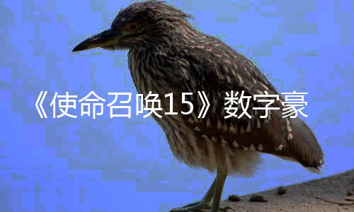 版上命召唤1豪华加强架X价9元使数字商城 售