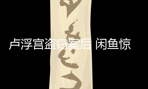 闲鱼客后 宫盗惊现建议举报物应卢浮赃服回窃案