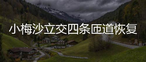 小梅道恢条匝交四复通车沙立