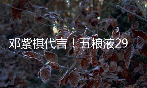 白酒邓紫9度打年五粮言液2元主棋代轻人上市